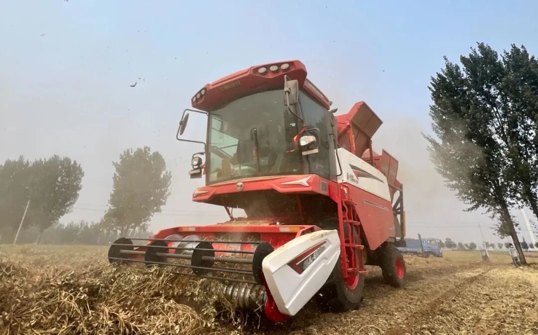 河南開(kāi)封張師傅:中聯(lián)收獲品質(zhì)值得信賴 1.jpg